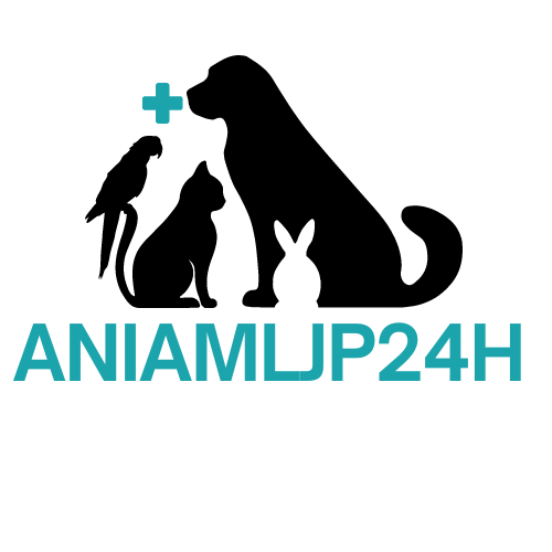 animaljp24h.com