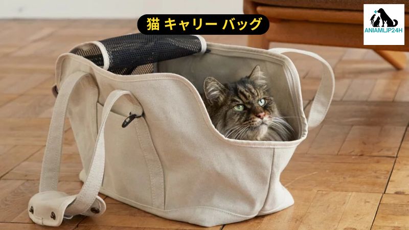 猫 キャリー バッグ